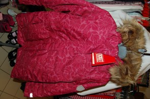 Pilti pole määratud 