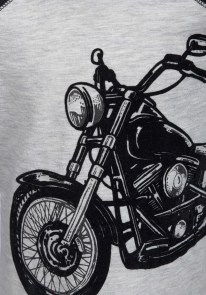 Pilti pole määratud 